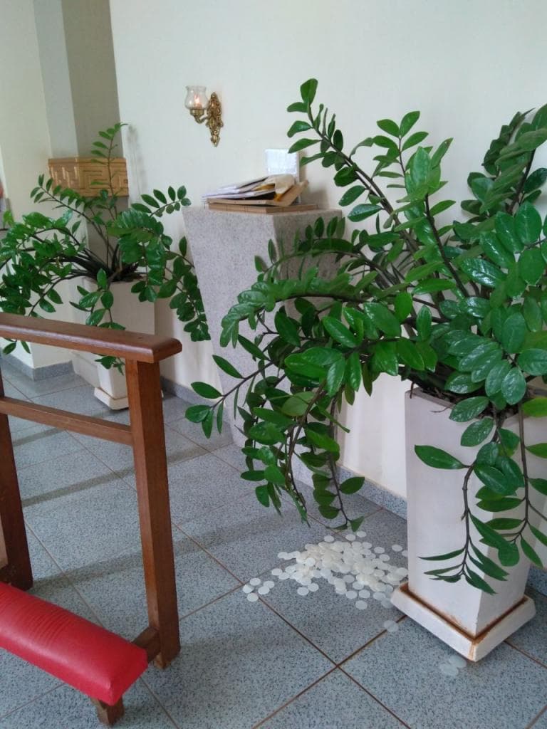 Sacrário da Paróquia São José Operário de Jales é roubado e profanado