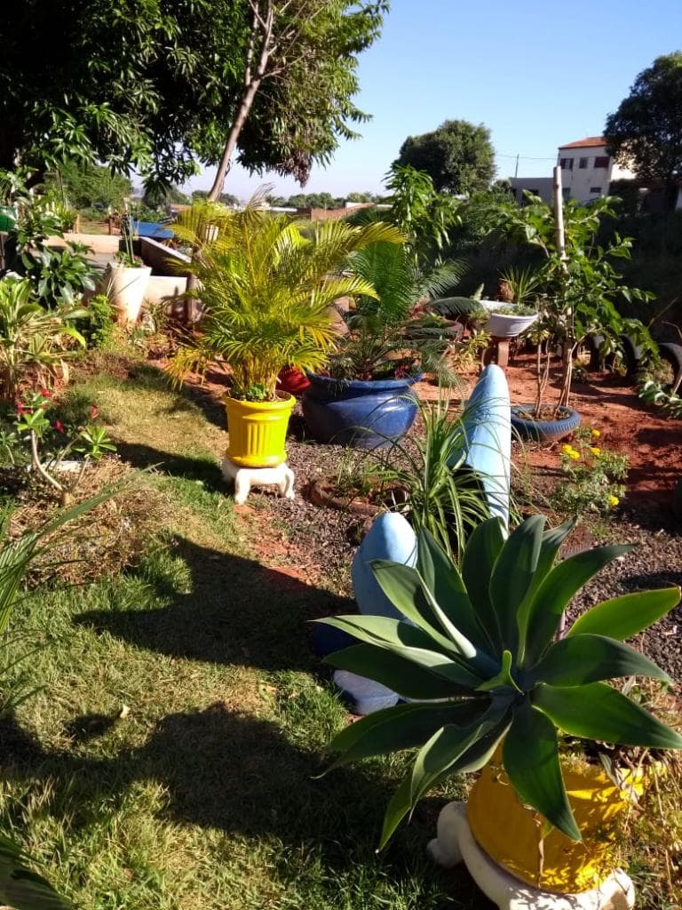 Moradoras do bairro Roque Viola revitalizam espaço abandonado