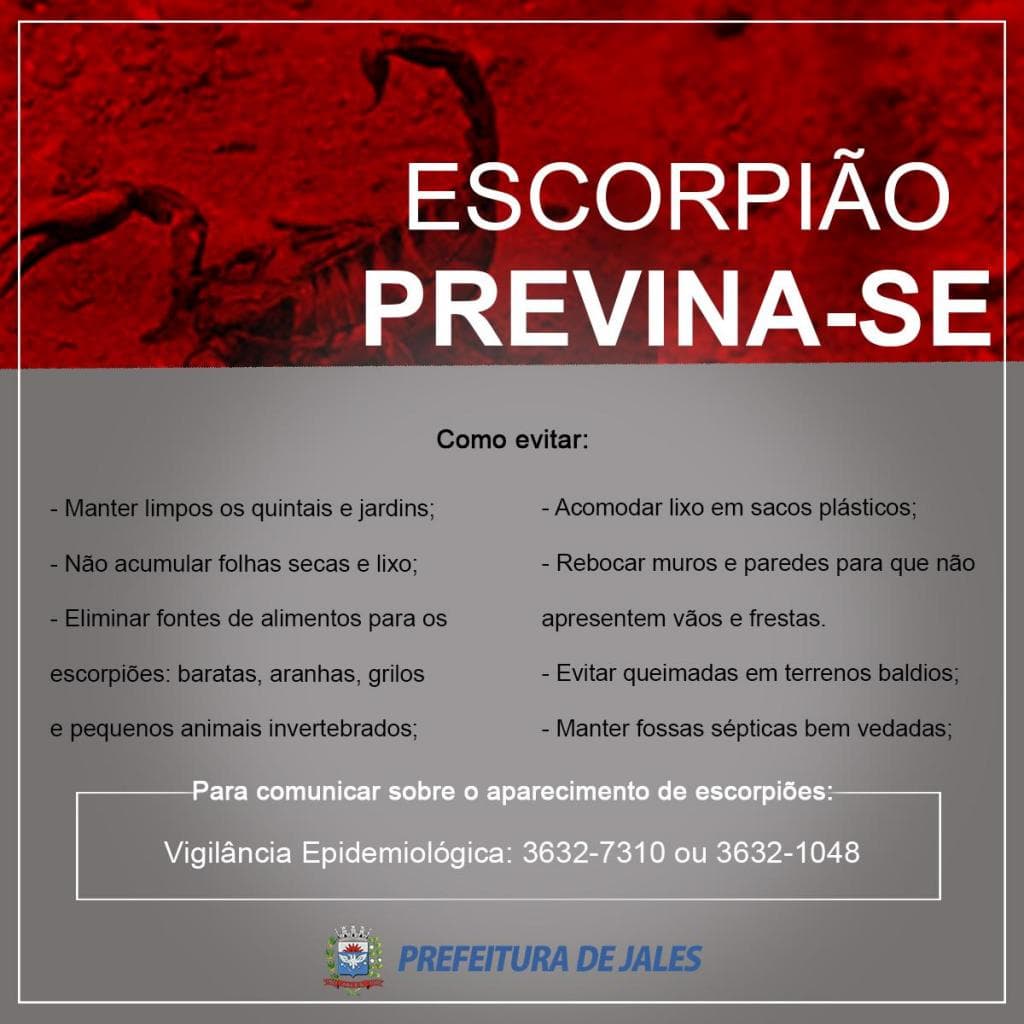 Prefeitura orienta a população para evitar escorpiões