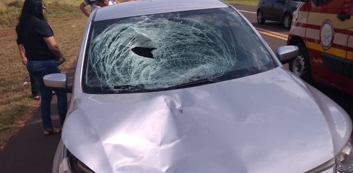 Homem morre atropelado em rodovia que liga Santa Albertina a Jales