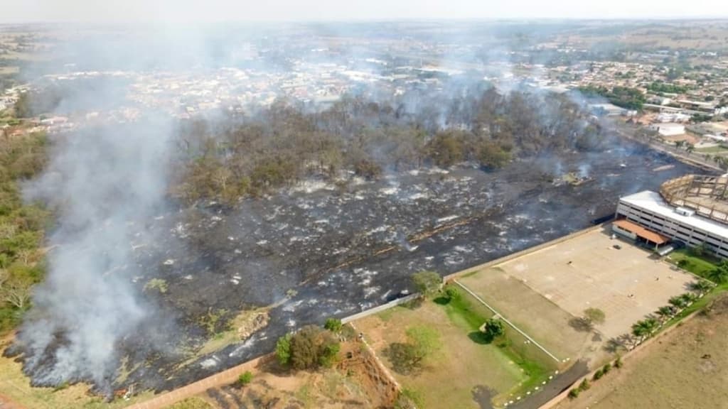 Bosque Municipal de Jales é tomado por incêndio