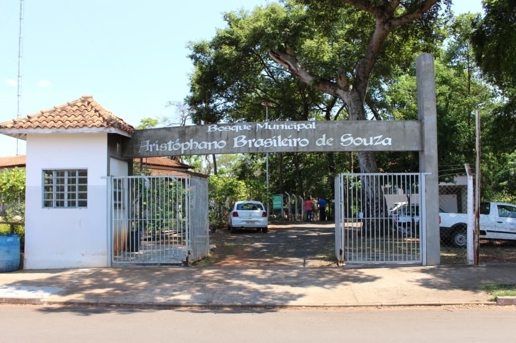 Prefeitura inicia recuperação do Bosque Municipal