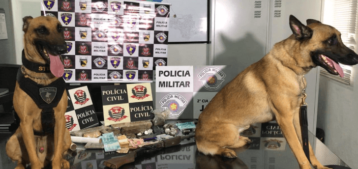 Polícias Civil e Militar de Jales realizam operação e prendem sete pessoas