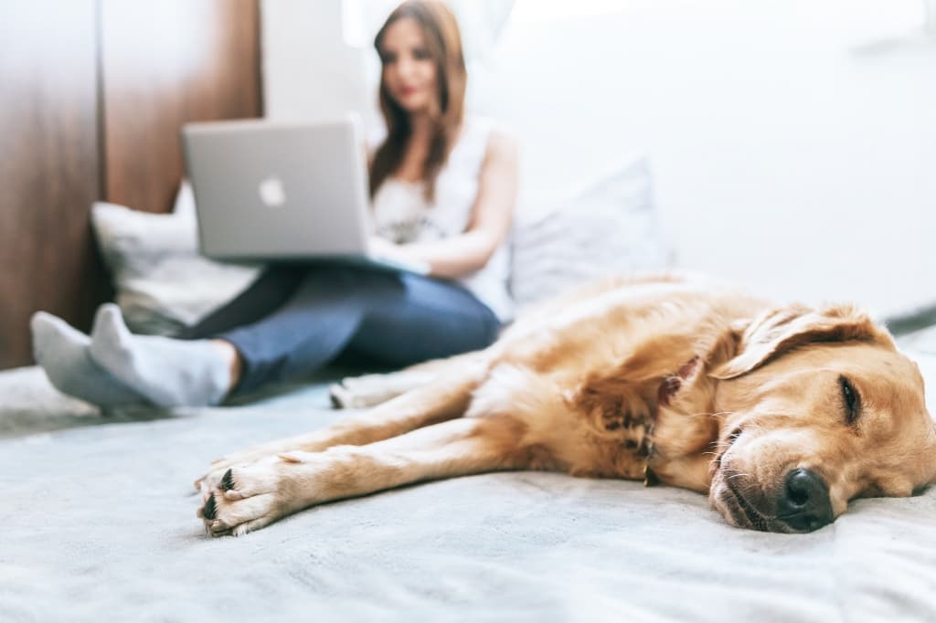 Atendimento psicológico on-line é tão eficaz quanto o presencial, afirma especialista