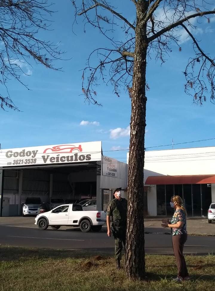 Secretaria de Meio Ambiente e Polícia Ambiental vistoriam árvores na Avenida Francisco Jalles