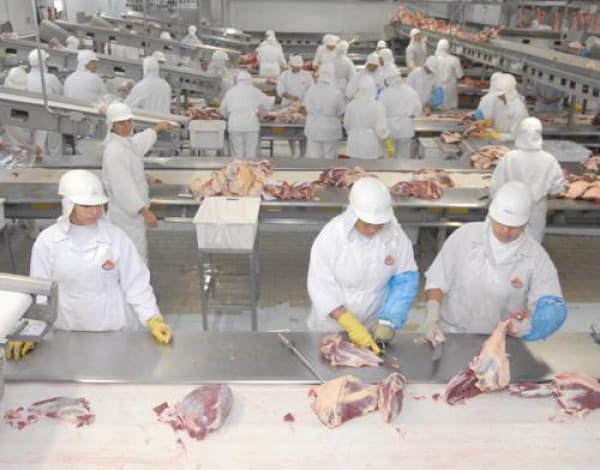 MPF recomenda testagem em massa e ameaça fechar o FrigoEstrela