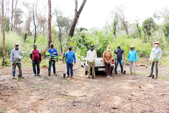 Plantio de árvores no Bosque Municipal marca Dia do Meio Ambiente