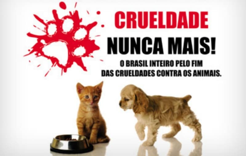 Cães e gatos são envenenados em Votuporanga