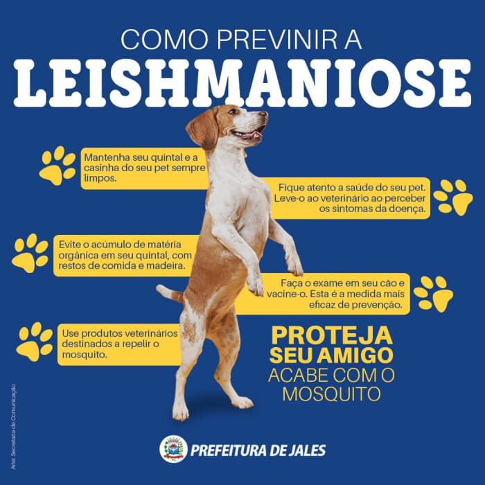 Secretaria de Saúde adere a Semana Estadual de Prevenção da Leishmaniose