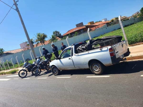 Comerciante é flagrado abandonando gatos em terreno