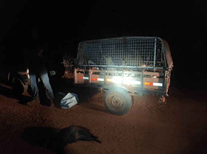 Homens que usavam cachorros para caça são multados pela Polícia