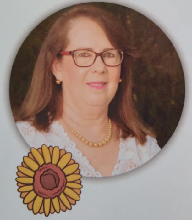 Professora Tamar Shumiski, da Unijales lança livro durante a quarentena