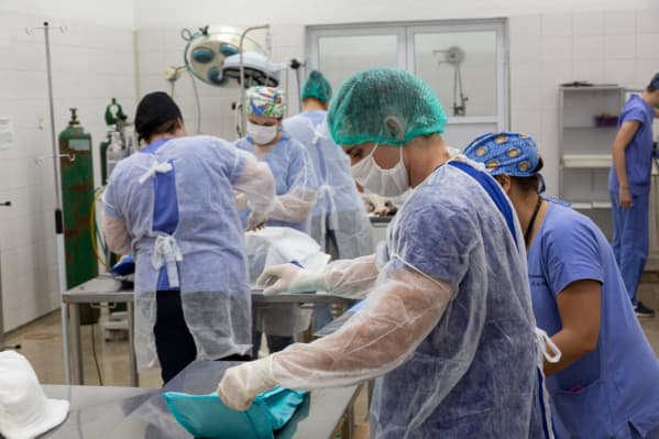 Universidade Brasil reabre Hospital Veterinário do campus de Fernandópolis