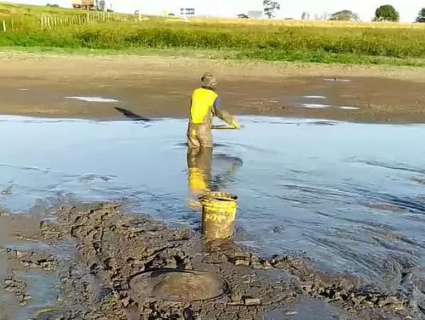 Amigos pedem ajuda para salvar peixes em lagoa que está secando