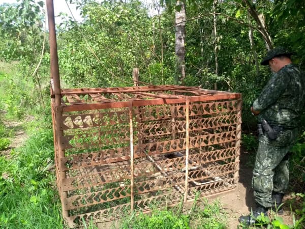 Gaiola de caça ilegal é apreendida em Palmeira d’Oeste