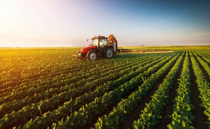 Agricultura brasileira é modelo de desenvolvimento para outros países da faixa tropical do globo