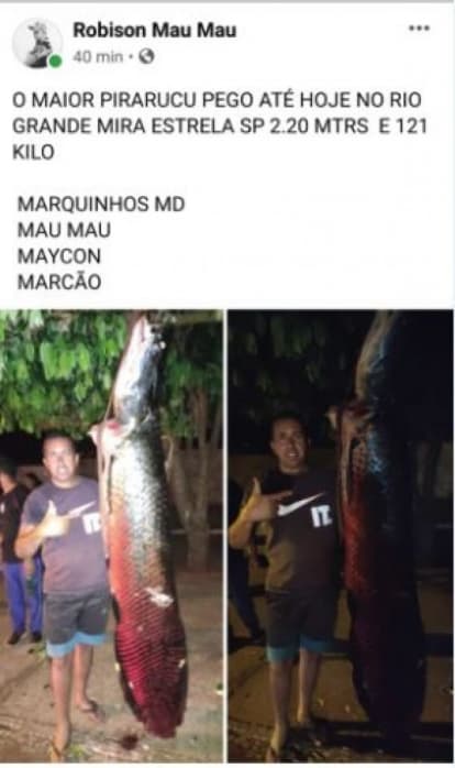 Pescador fisga peixe pirarucu de 121 quilos em rio da região