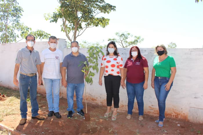 Prefeitura de Jales realiza o plantio de ipês brancos em homenagem às vítimas da Covid-19