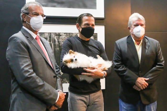 SP autoriza início das obras de clínicas veterinárias em Araçatuba e Votuporanga