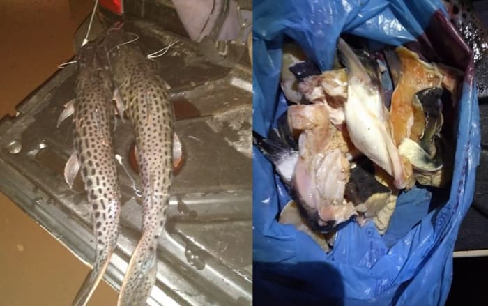 Polícia Ambiental autua infratores por pesca irregular na região