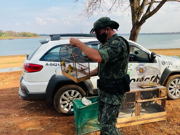 Homem é multado em mais de R$ 28 mil por capturar aves silvestres em Santa Clara D’Oeste
