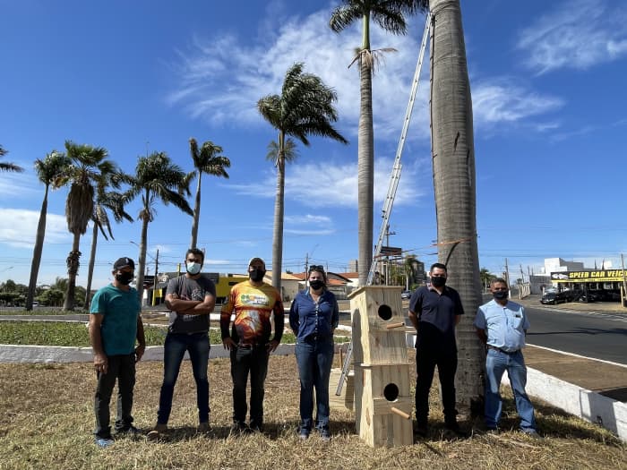 Prefeitura de Jales instala ninhos artificiais em palmeiras da cidade para abrigar Araras Canindés