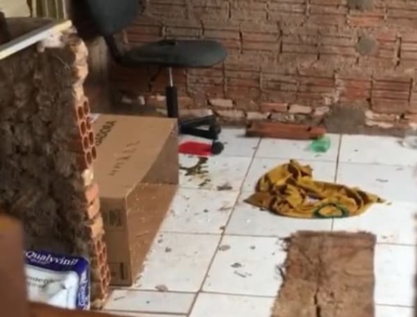 Caso de maus-tratos de é registrado em Fernandópolis
