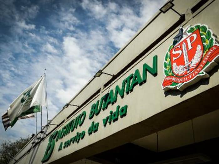 Pesquisa do Instituto Butantan indica caminho para o desenvolvimento de vacina contra esquistossomose