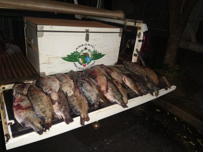 Pescadores amadores são multados por transporte irregular