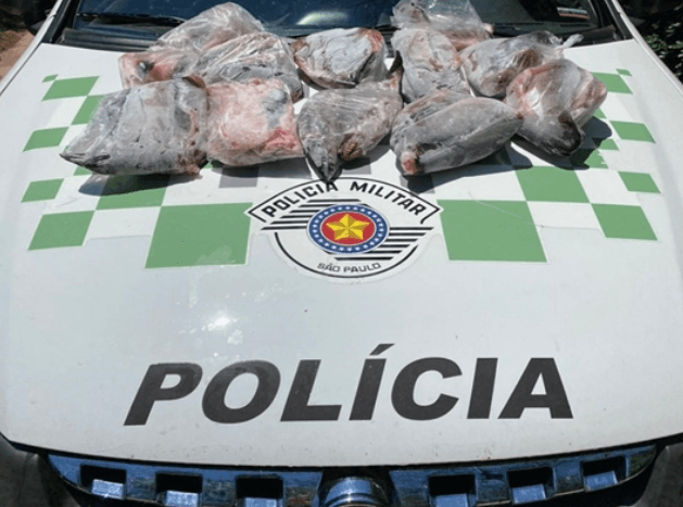 Polícia Ambiental realiza fiscalização em peixarias de Jales e região