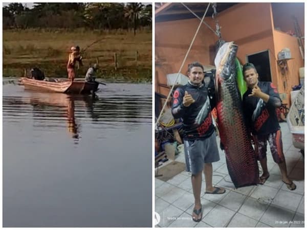 Jovem que fisgou pirarucu de 117 quilos demorou uma hora e meia para tirar peixe da água