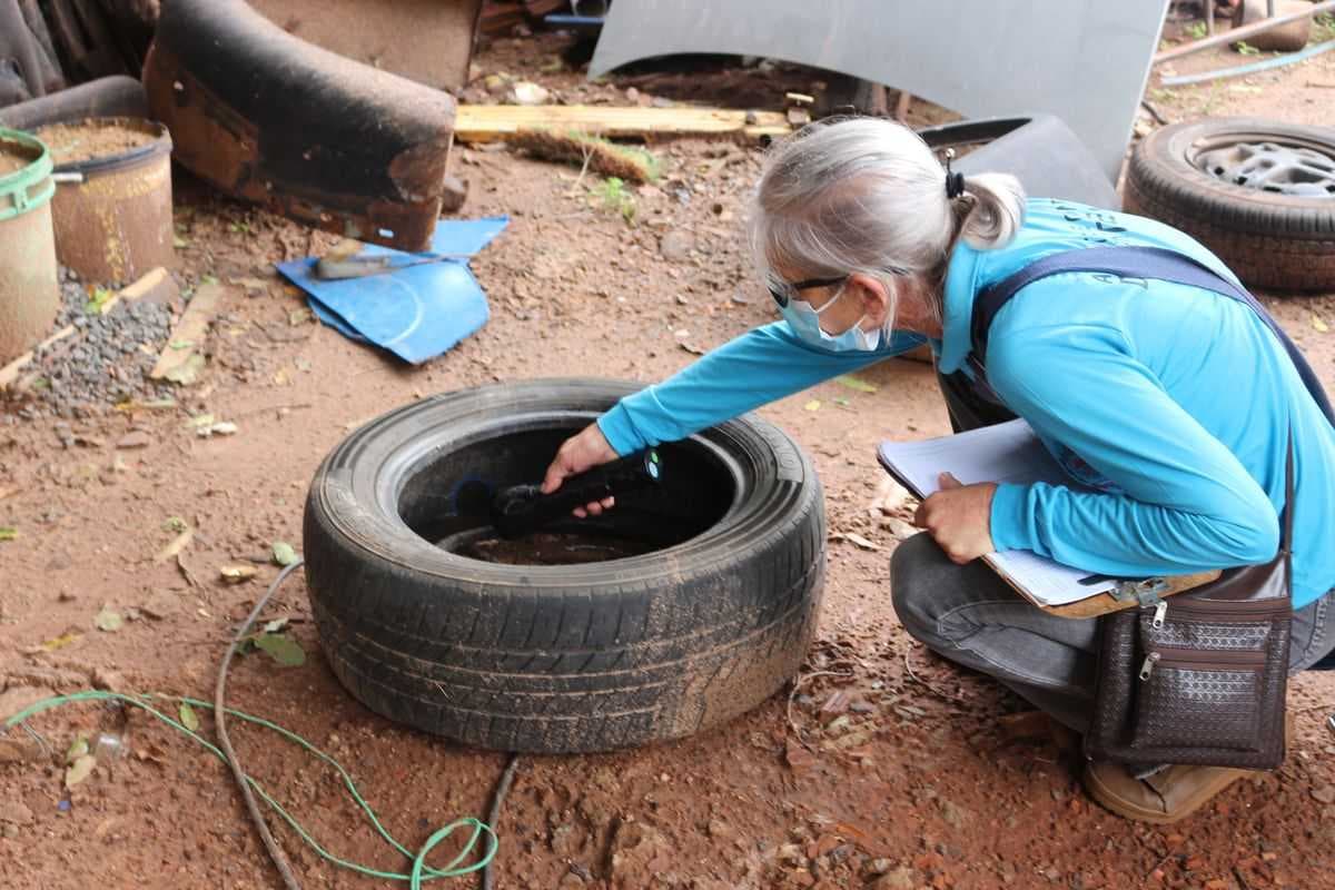 Com aumento das chuvas, equipe da Vigilância Epidemiológica de Jales reforça ações de prevenção contra a Dengue