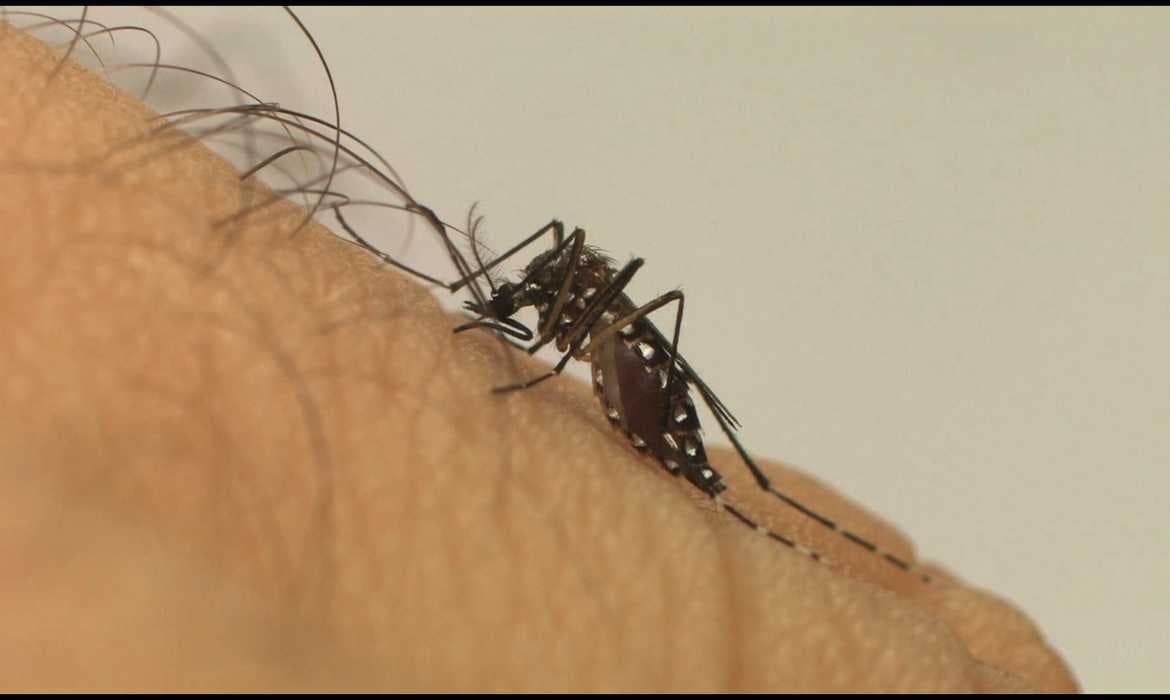 Especialistas destacam riscos da expansão da Dengue e Covid em 2023