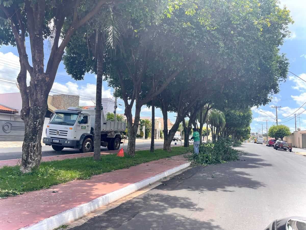 Prefeitura orienta sobre como realizar poda e corte de árvores no município