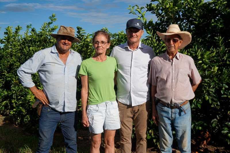 Com o suporte de cooperativa, citricultor garante alta produtividade em pequena área de Jales