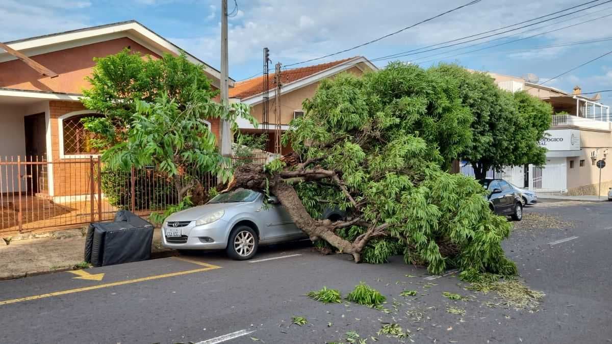 Imagem fica intacta após tempestade que destelhou igreja em Rio Preto