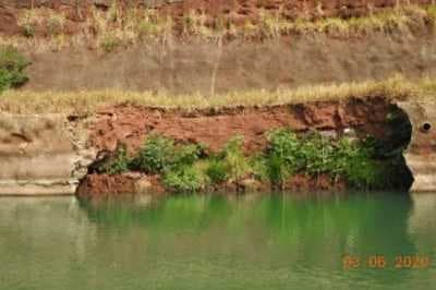 Concessionária que administra Usinas Hidrelétricas na região solta 30 mil peixes no rio Paraná