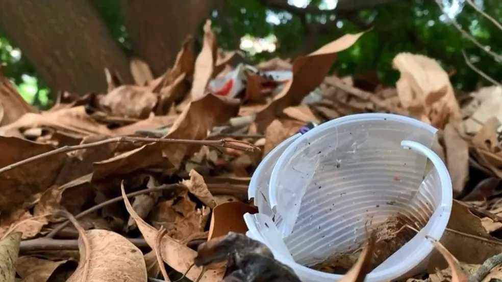 Jales confirma primeira morte por dengue no ano, segundo Secretaria Estadual de Saúde