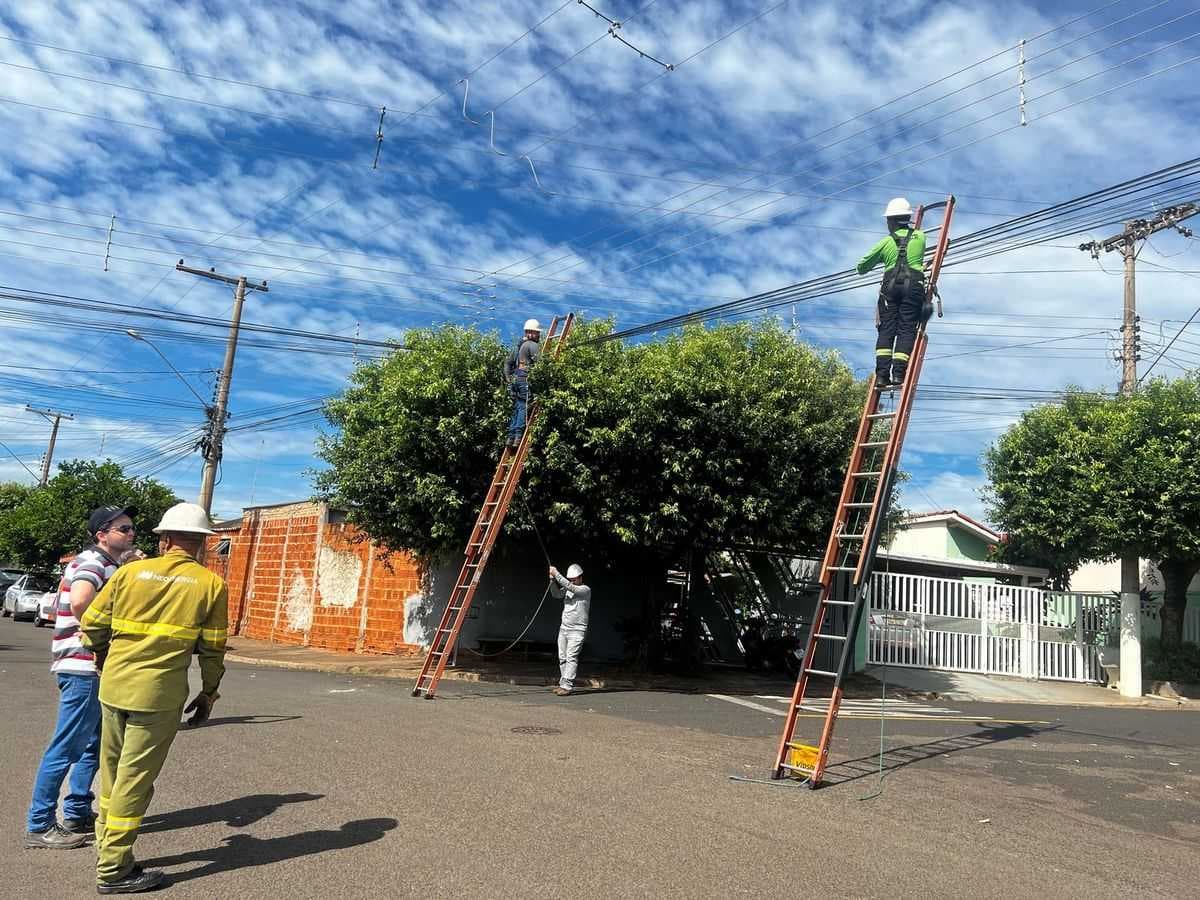 Empresas de Telecomunicações, Prefeitura e Elektro realizam limpeza de postes e a remoção de cabos inutilizados em Jales